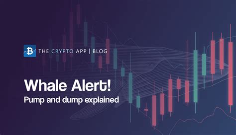 Volatility, Pump and dump, Token Burn
